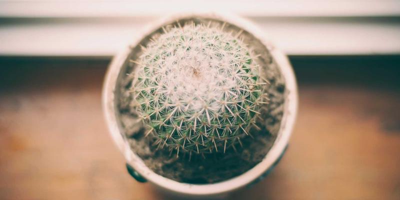 IT教育新焦点：办公软件培训如何通过Teams与Slack高级功能实现高效远程协作与企业部署