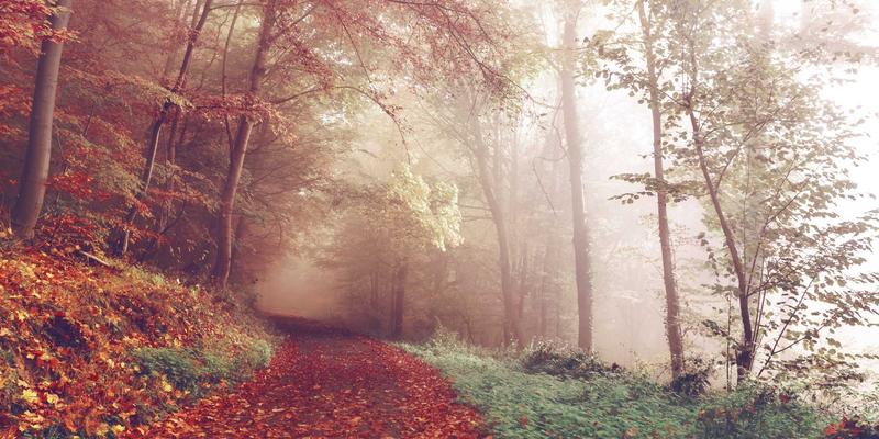 IT教育新焦点：网络技术培训如何赋能ERP系统（SAP/Odoo）核心操作与数字化转型