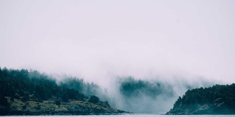 从办公软件培训到专业数据可视化：掌握Tableau与Power BI，开启商业仪表盘制作之路