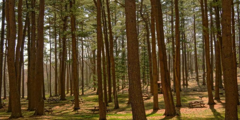 从学员到开发者：电脑培训成功案例深度解析与IT教育趋势洞察