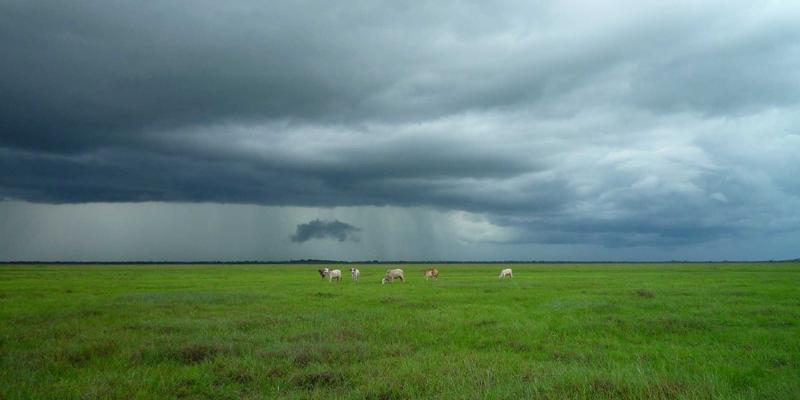 从零到上架：掌握Unity引擎的游戏开发全流程电脑培训