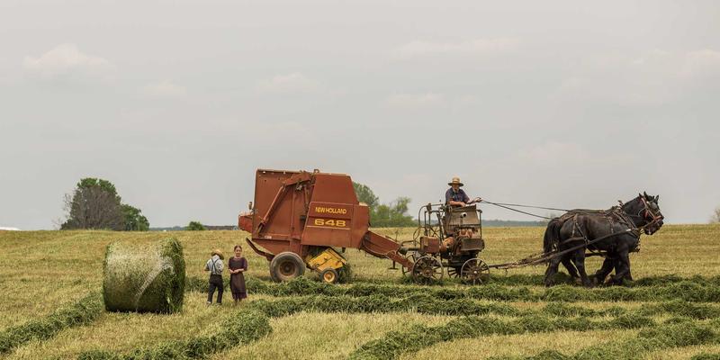 从零到专业：Ableton Live电子音乐制作全攻略，开启你的职业技能培训新赛道