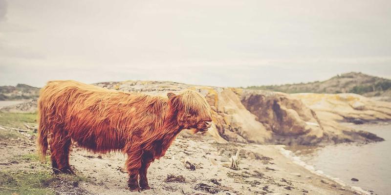 从零到精通：Python数据分析与可视化实战电脑培训课程，开启IT教育新篇章