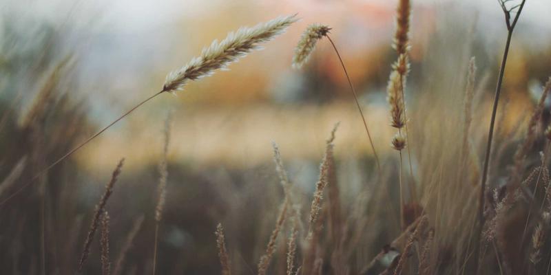 企业办公软件培训新趋势：深度掌握飞书、Teams等团队协作工具的实战指南