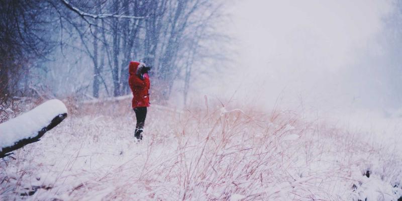 企业级网络与信息安全实战培训：从防火墙配置到渗透测试的IT教育新路径