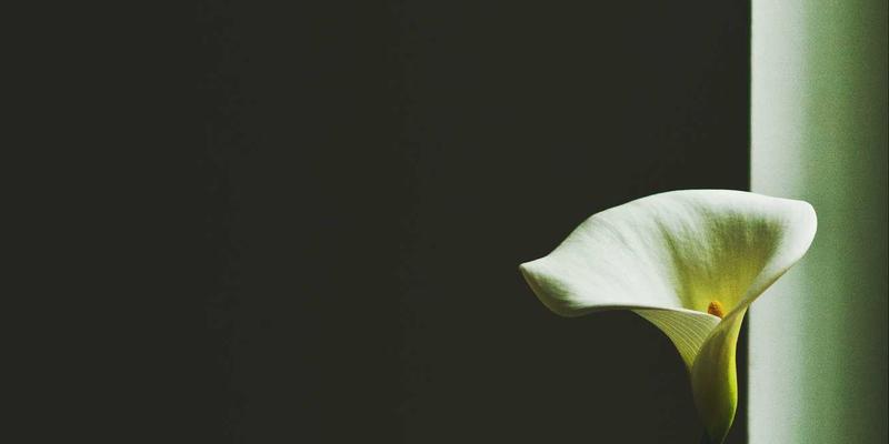 平面设计电脑培训：掌握Photoshop与Illustrator实战技能，开启高薪职业之路