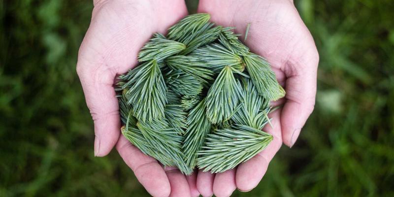 电脑培训23：掌握网络技术与职业技能，开启IT教育新篇章