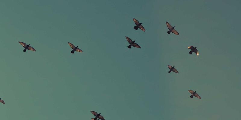 电脑培训28：掌握办公软件与职业技能，开启职场进阶之路