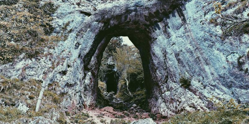 电脑培训39：职业技能培训如何通过IT教育塑造数字时代竞争力