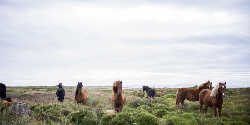电脑培训86：掌握办公软件与IT技能，开启数字时代职业新篇章