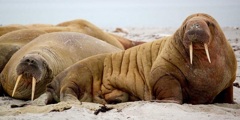 电脑培训90：编程课程如何重塑IT教育与职业技能培训新格局