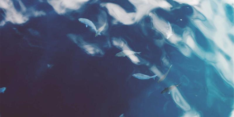 电脑培训98：掌握IT教育核心，开启编程职业新篇章