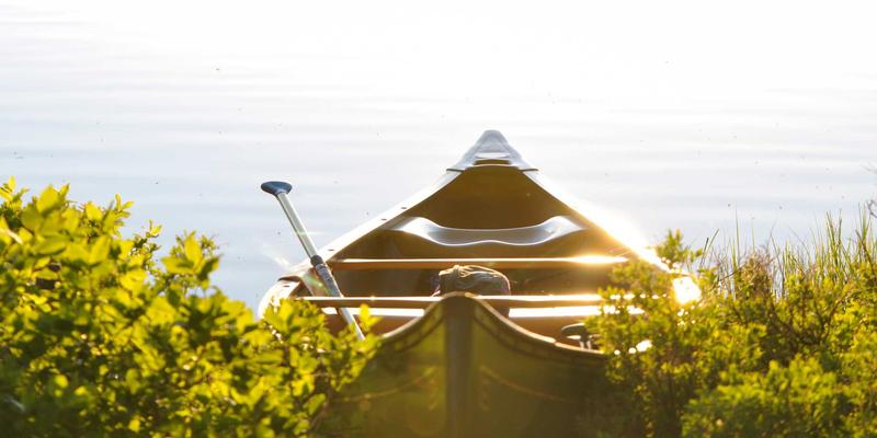 网络技术实战：企业级防火墙配置与渗透测试基础职业技能培训指南