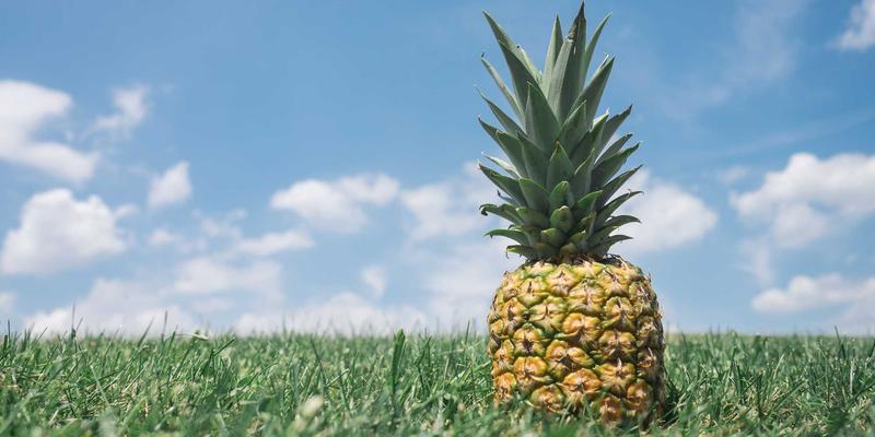 职业技能培训新方向：C++游戏开发与Unity引擎实战项目入门指南